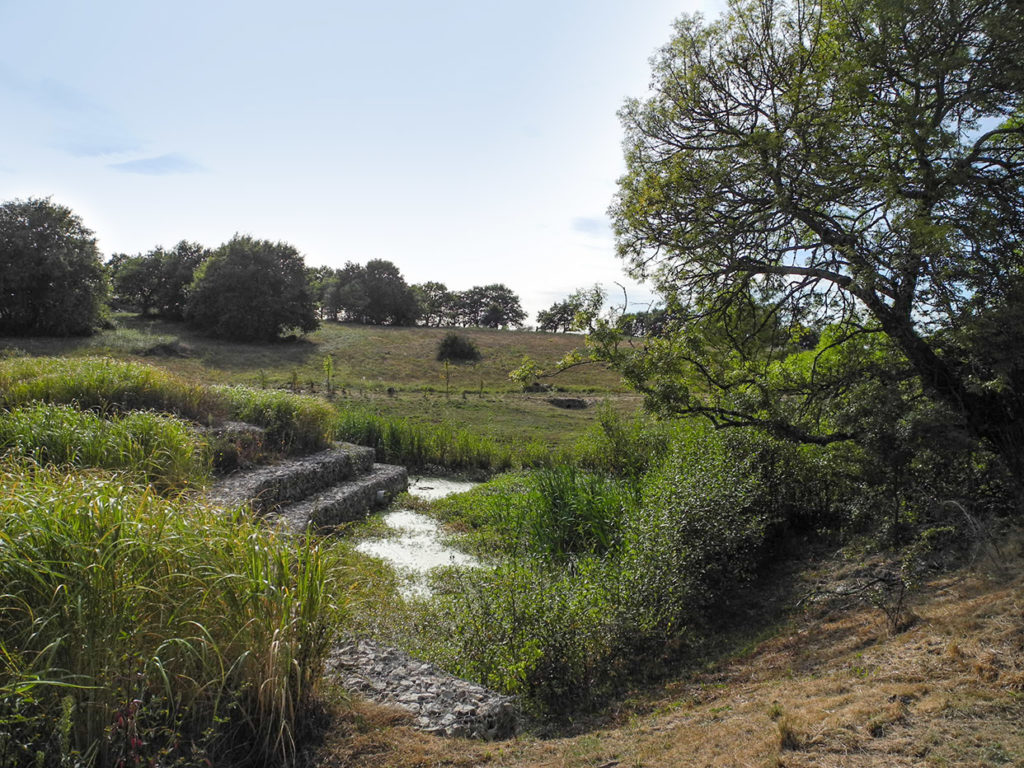 PHYTOLAB_Saint-Herblain_pelousieres_photo03