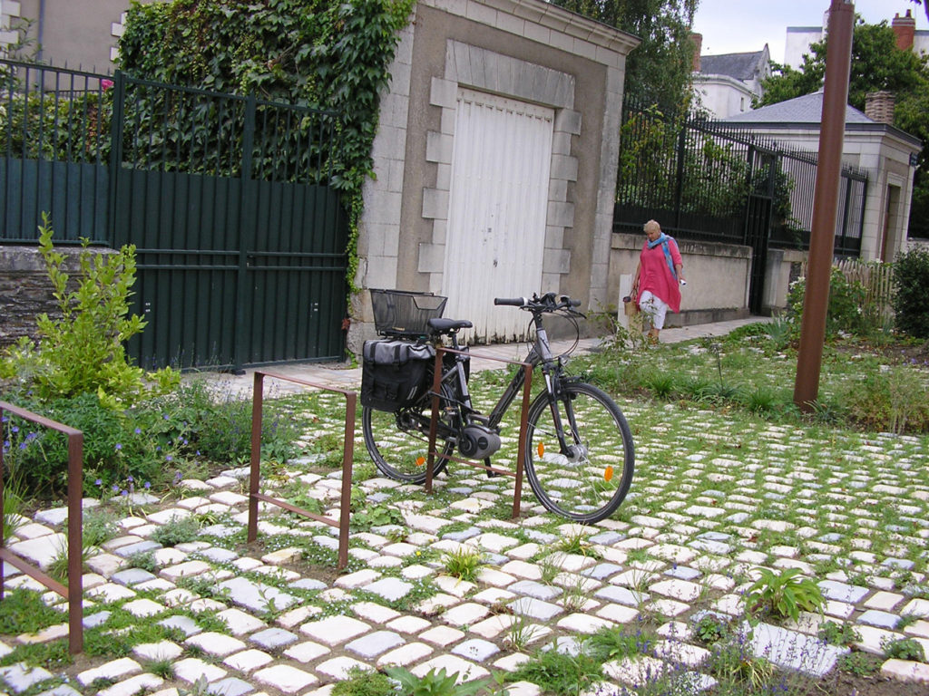 phytolab_angers_bout_du_monde_photo_05